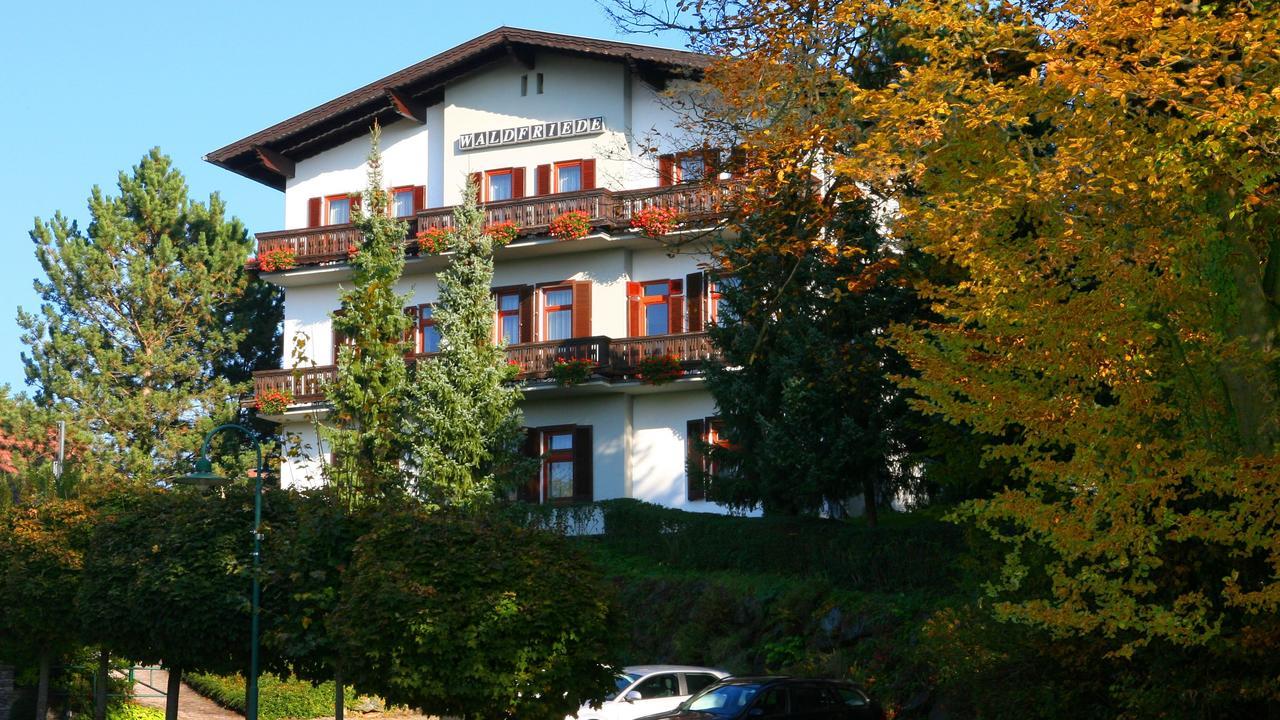 Pension Waldfriede Бад-Тацманнсдорф Екстер'єр фото