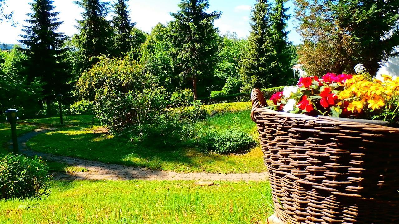 Pension Waldfriede Бад-Тацманнсдорф Екстер'єр фото